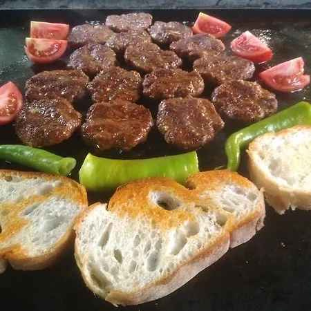 Holiday Hotel Dalyan Dalyan