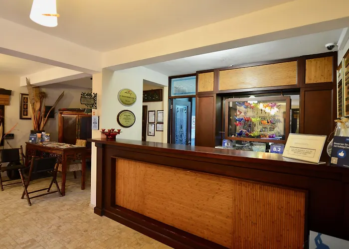 Holiday Hotel Dalyan Дальян