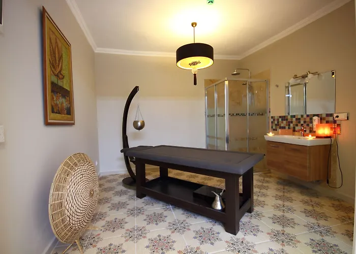 Отель Holiday Hotel Dalyan 2*