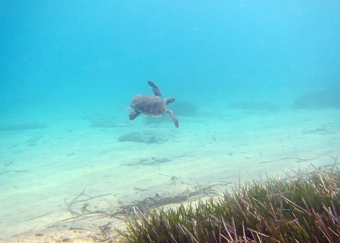 Holiday Hotel Dalyan 2* Дальян